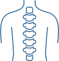 <h3>Enhances spinal alignment and posture</h3>